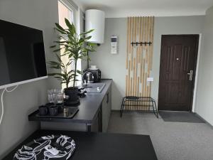 Old Riga over the river, Free parking, up to 4ppl. Self Check-inout