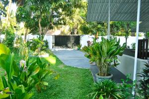 Coconut Villa