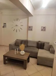 Ομορφο διαμερισμα στο κεντρο της πολης με παρκιν - 卡尔季察