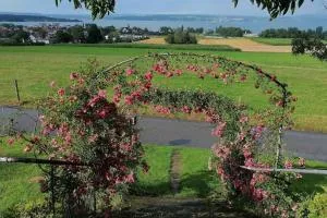 Seesicht und charmante Wohnung bei Hanni und Ueli - Langrickenbach