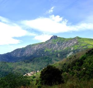 Appartements I Tre Taglincchi, U Terzu - Proche mer, Clim, Wifi, Parking gratuit : photos des chambres