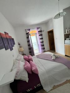 Apartments Ivana Bibinje