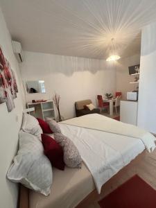 Apartments Ivana Bibinje