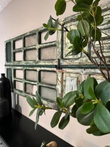 Depa de diseño Zamora, Mich.