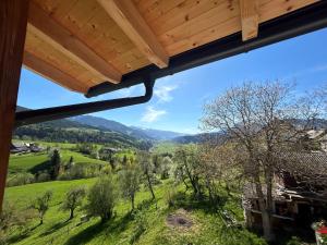 Panorama-Apartment Ennstalblick