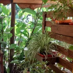 Mis Nietos - deptos y dormis centricos con cochera - Punta Alta