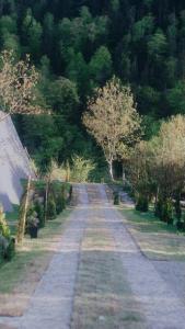 Landhaus Borjomi
