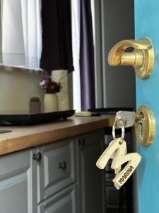 Lux Apartments in Downtown