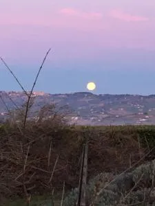 B&b sunflower - Castelfidardo