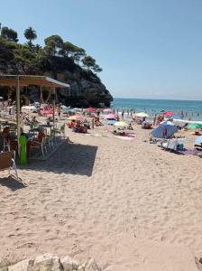 50 meters from CALA CRANCS- Terrace and seaviews