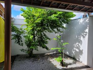 Casa Jardim PINHEIROS