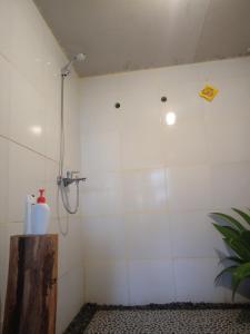 Coconut Homestay Tetebatu