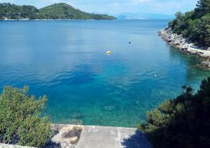 Apartments by the sea Sobra, Mljet - 22329