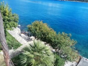 Apartments by the sea Sobra, Mljet - 22329 