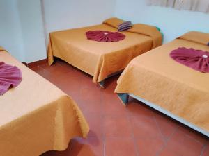 Hostal Dulces Sueños