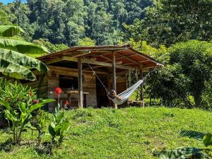 Cinduli Finca Orgánica Cacaotera