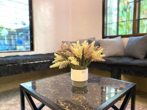 Can accommodate up to 10 guest near Virac Airport