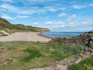 Cove Hideaway 1bhk Apt 10 in Skinningrove