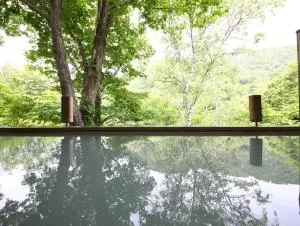 志賀高原 白い温泉 渓谷の湯 - Kiriake