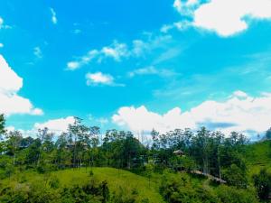 Nine Arch Homestay