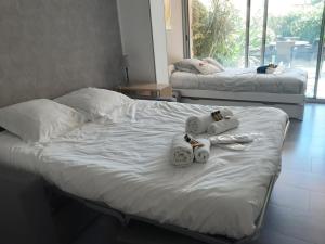 Studio rdj 24 m2 et piscine