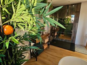 Appartements Appartement tout confort a proximite de Lille, Lens et Arras : photos des chambres