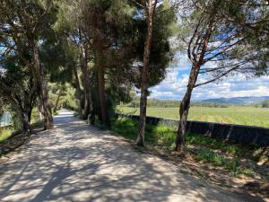Appartements Rez de Jardin au Nouvelles Terres a La Londe les Maures : photos des chambres