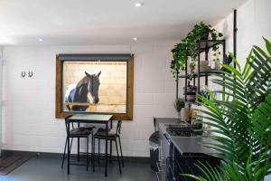 Sleep next to a Horse in a stable by the city !