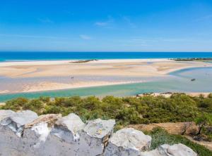 Kampaoh Tavira