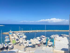 Beautiful Marconi Gallipoli