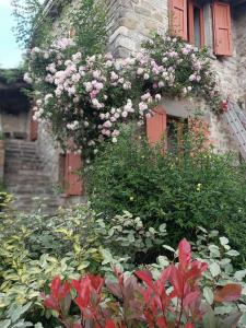 Doppelzimmer mit eigenem Bad