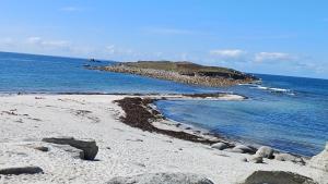 Couettes et Mouettes