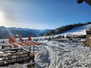Les Isards Pied des pistes - Mérens-lès-Vals