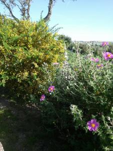 Agriturismo Su Recreu img66