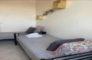 Appartements Lumineux