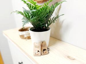 El Refugio de Amalia