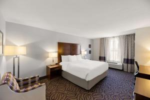 King Room - Disability Access/Non-Smoking room in Comfort Inn & Suites Lovington