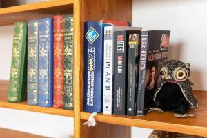 Green Oasis Apartment In The City With A Patio