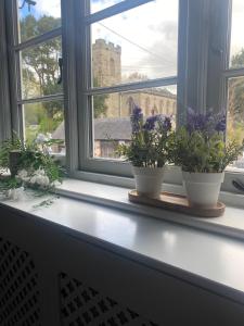 The White Hart Apartment Valley View