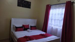 Lacasa accommodation