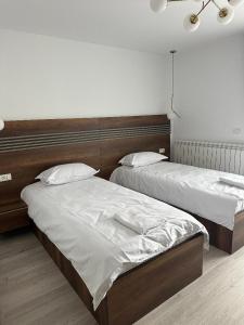 CIU & BIU Apartament