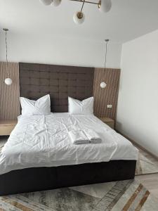 CIU & BIU Apartament