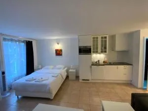 Mango Spirit Suites - 布德维列