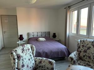 Appartements Aux cigogneaux : photos des chambres