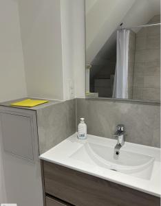 Appartements Aux cigogneaux : photos des chambres