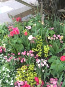 Appartements Gardens, Pool and More! : photos des chambres