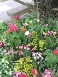 Gardens, Pool and More! - 布吉瓦尔