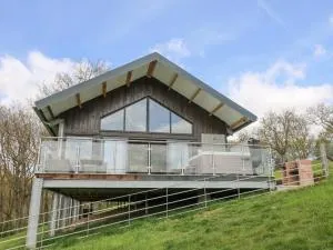 Barcud Coch - Red Kite - Llandyssil