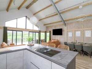 Barcud Coch - Red Kite