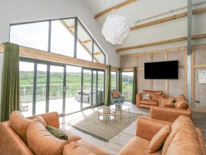 Barcud Coch - Red Kite